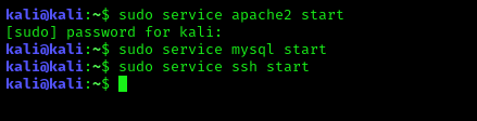 Starting services in Kali Linux Starting services in Kali Linux