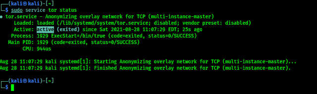 Tor services is running Tor services is running