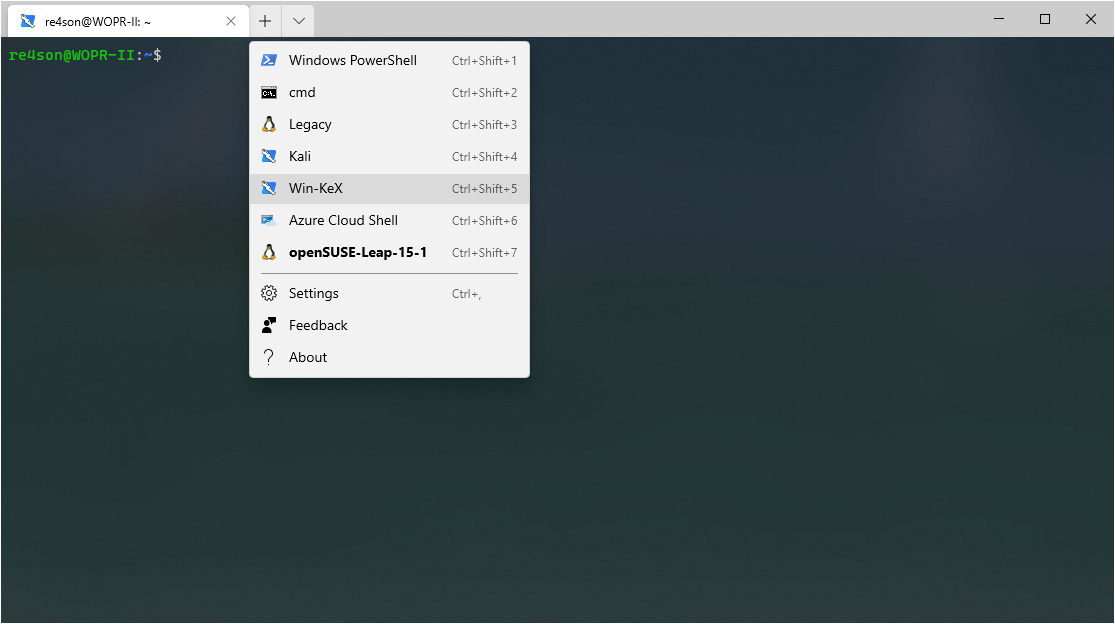 setting up powershell for win-kex setting up powershell for win-kex