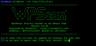 WPScan asking for update
